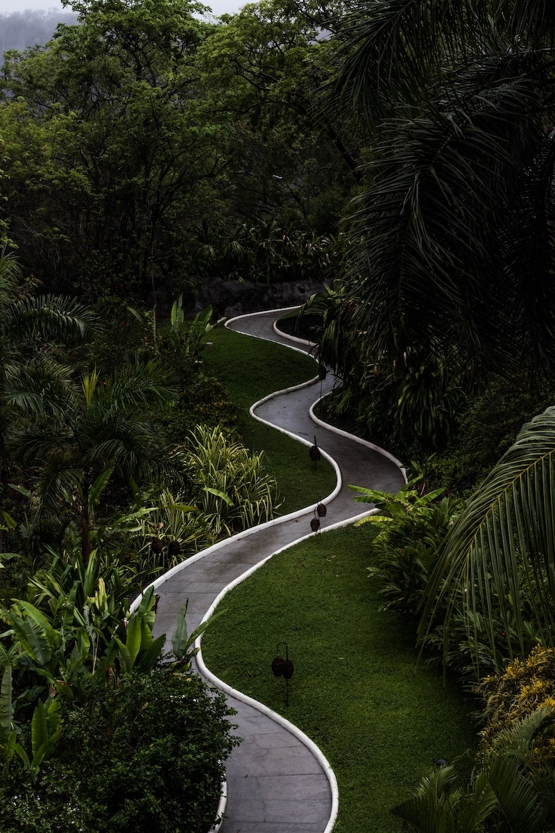 Winding path through a lush tropical garden